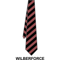 Roundwood Park School - House Tie