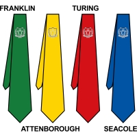 Queens School - School Tie *House Colour*