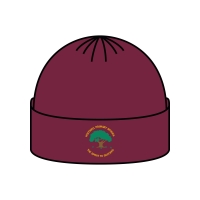 Holywell Primary School - Beanie Hat