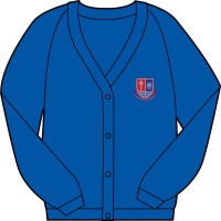 Central Primary School - Cardigan