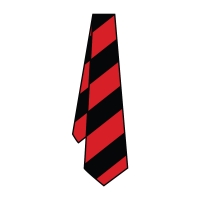 The Grove Junior School - School Tie