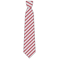 Christ Church Chorleywood School - School Tie
