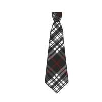 Manor Lodge - School Tie