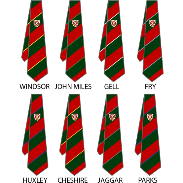 Vyners School - House Colour Ties