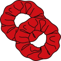 Velvet Hair Scrunchies