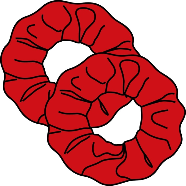 Velvet Hair Scrunchies
