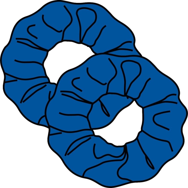 Velvet Hair Scrunchies