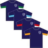 Our Lady Catholic Primary School - House Colour PE T-Shirt