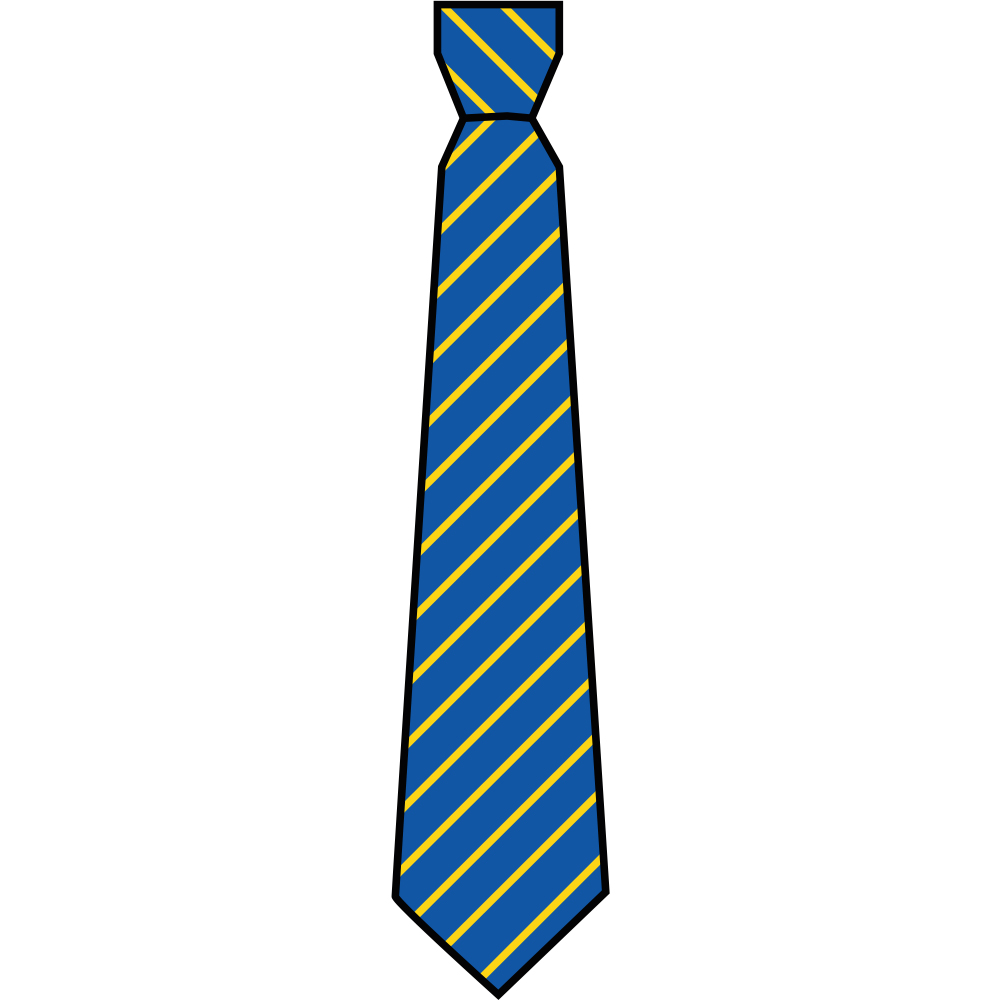 St Johns Catholic Primary School - Conventional School Tie - Beat ...