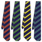 Hitchin Boys' School - House Colour School Tie