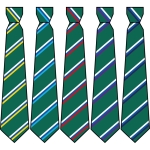 Henlow Church of England Academy - House Colour Ties