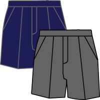 Summer Shorts