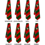 Vyners School - House Colour Ties