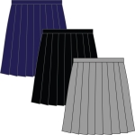Waistband Stitch Pleat Skirt