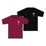 Derwent Primary School - *New Logo* PE T Shirt