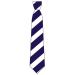 Holy Trinity CE Primary School - School Tie