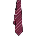 Kings Langley School - School Tie
