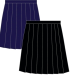 Waistband Stitch Pleat Skirt