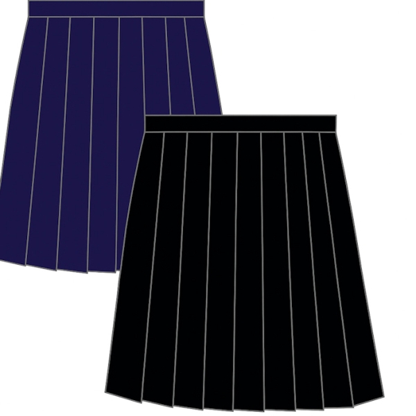 Waistband Stitch Pleat Skirt