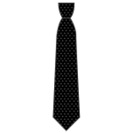 St Joan of Arc Catholic School - Sixth Form Tie