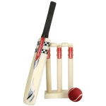 Mini Cricket Set