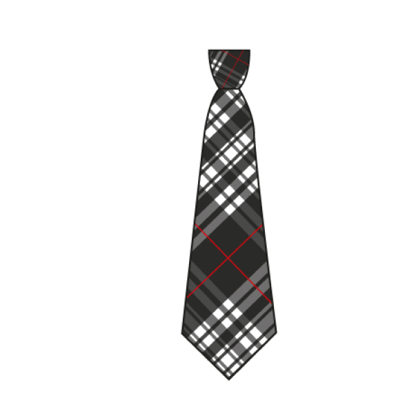 Manor Lodge - School Tie