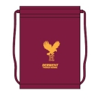 Derwent Primary School - *New Logo* Pe Bag