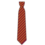 Beaumont School - School Tie