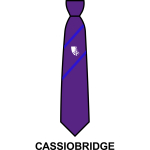 Croxley Danes School - House Tie