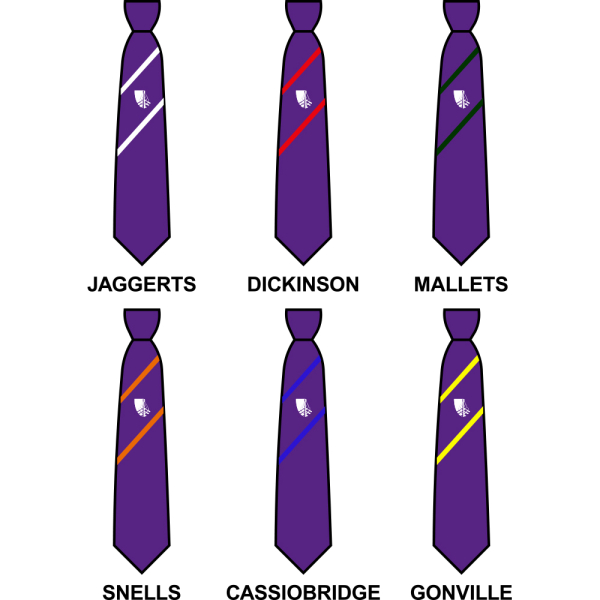 Croxley Danes School - House Tie
