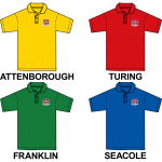 Queens School - House Colour Pe Polo Shirt