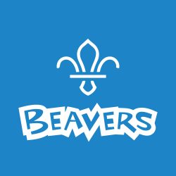 NewBeaversLogo