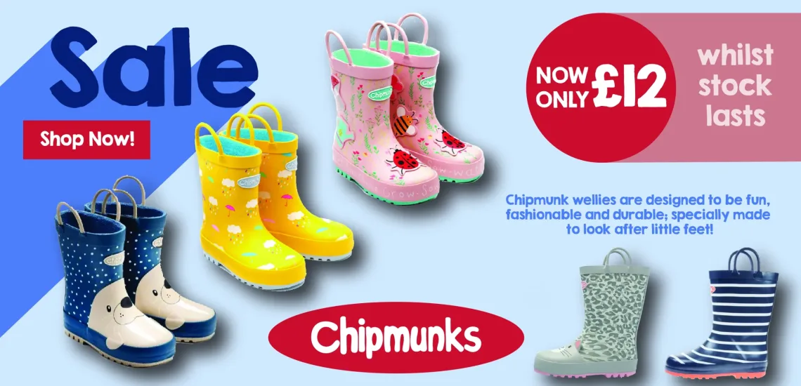 WelliesBanner